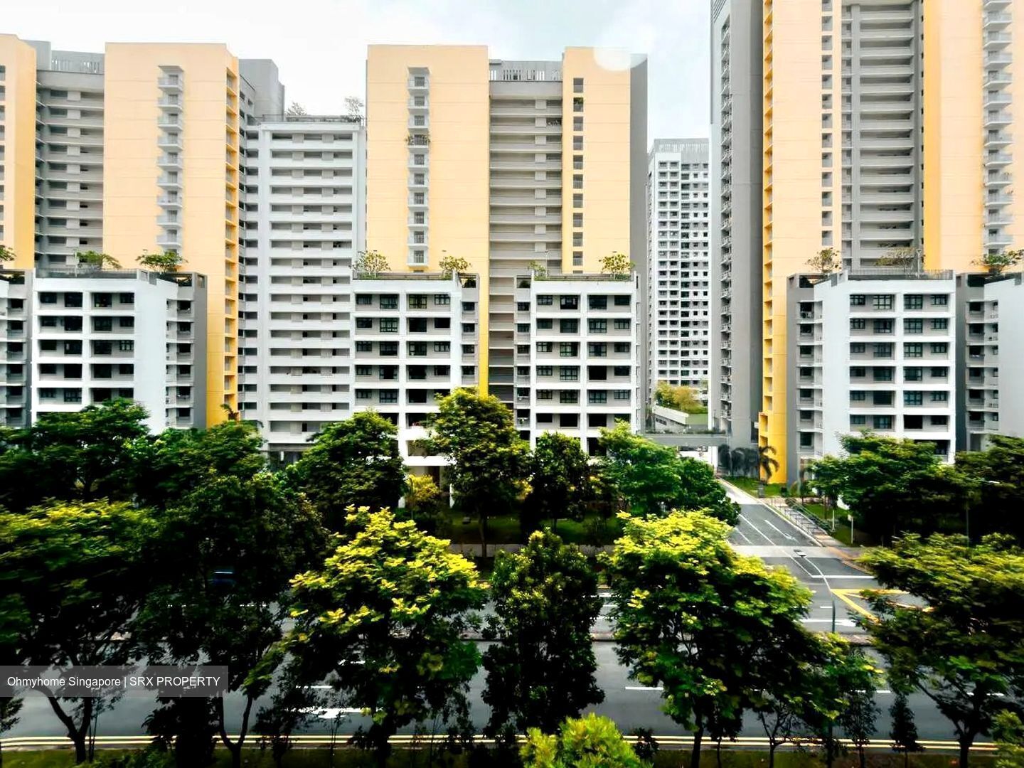 Blk 409C Northshore Residences Ii (Punggol), HDB 3 Rooms #503307921